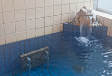 天然鉱石風呂で寒い日も湯冷めしない！