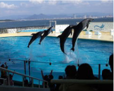 城崎マリンワールド